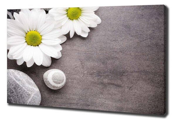 Tablou pe pânză canvas gerbera