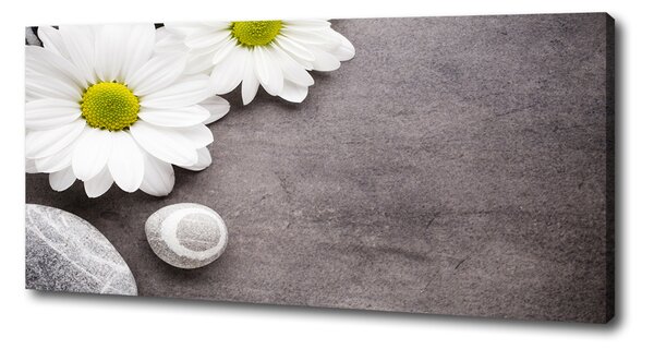 Tablou pe pânză canvas gerbera