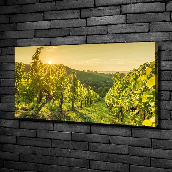 Print pe canvas Vie