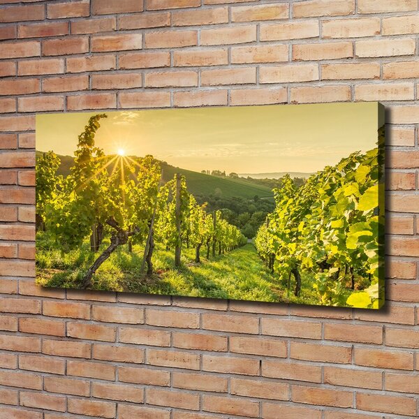 Print pe canvas Vie