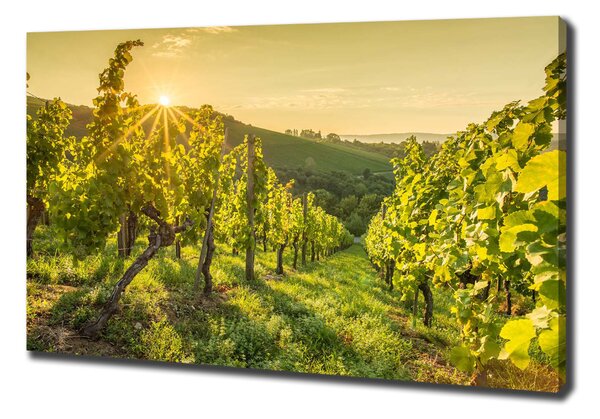 Print pe canvas Vie