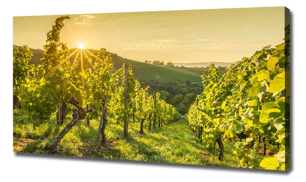 Print pe canvas Vie