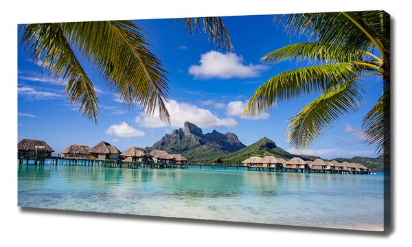Tablou pe pânză Palmieri pe Bora Bora