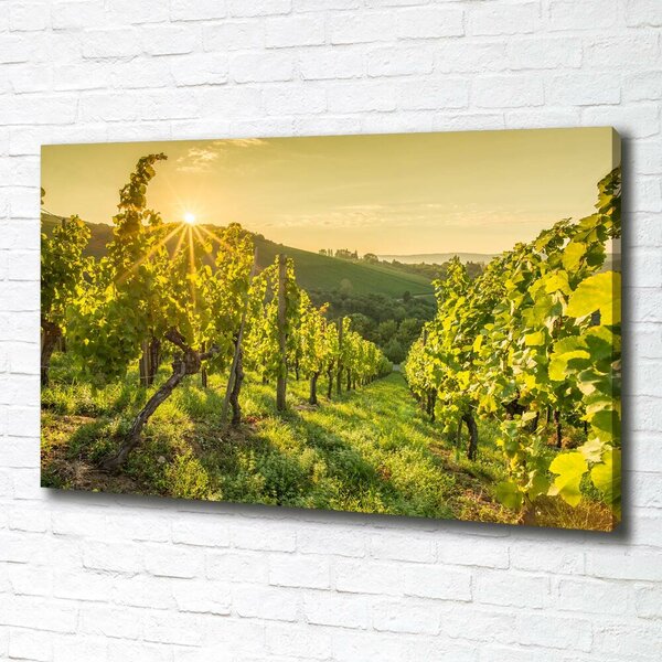 Print pe canvas Vie
