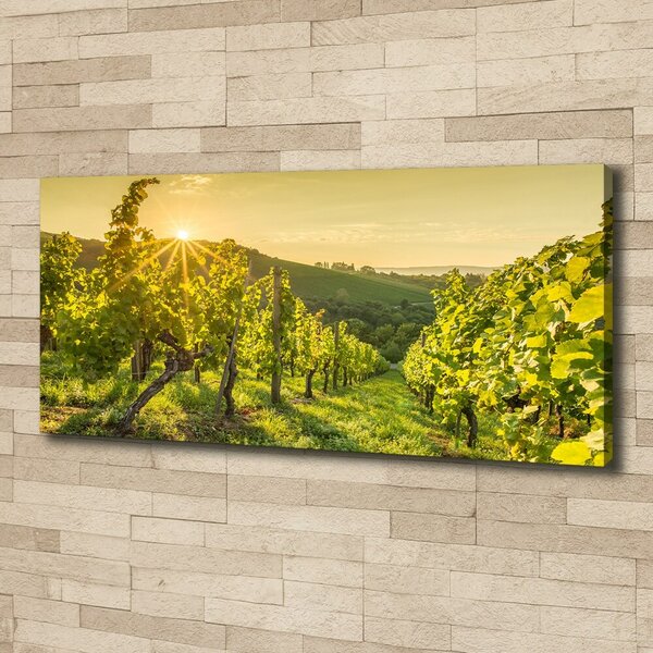 Print pe canvas Vie