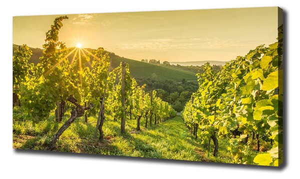 Print pe canvas Vie