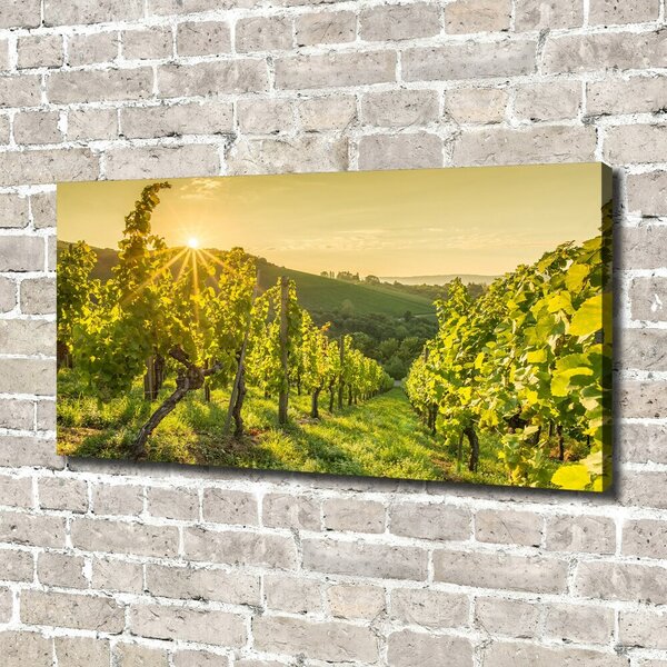 Print pe canvas Vie