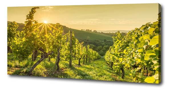 Print pe canvas Vie