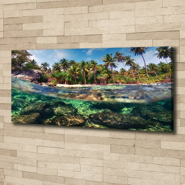 Print pe canvas plaja tropicala