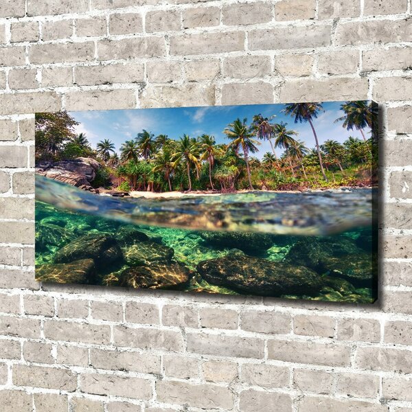 Print pe canvas plaja tropicala