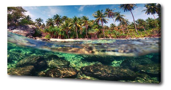 Print pe canvas plaja tropicala