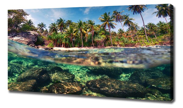 Print pe canvas plaja tropicala