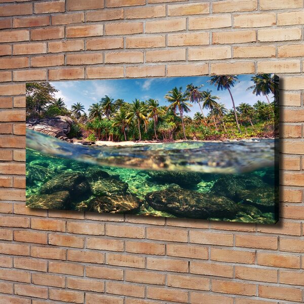 Print pe canvas plaja tropicala