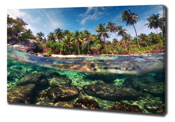 Print pe canvas plaja tropicala