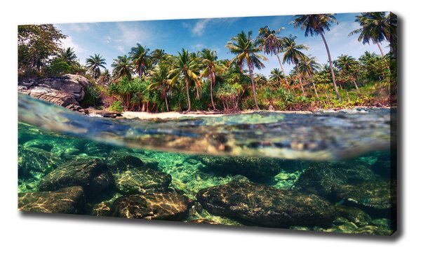 Print pe canvas plaja tropicala
