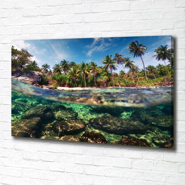 Print pe canvas plaja tropicala