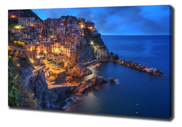 Print pe pânză Manarola Italia