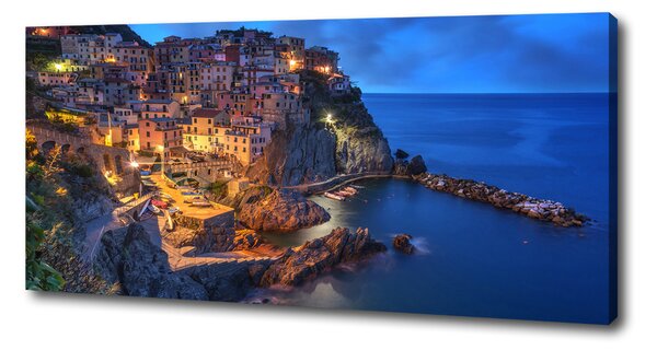 Print pe pânză Manarola Italia