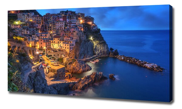 Print pe pânză Manarola Italia