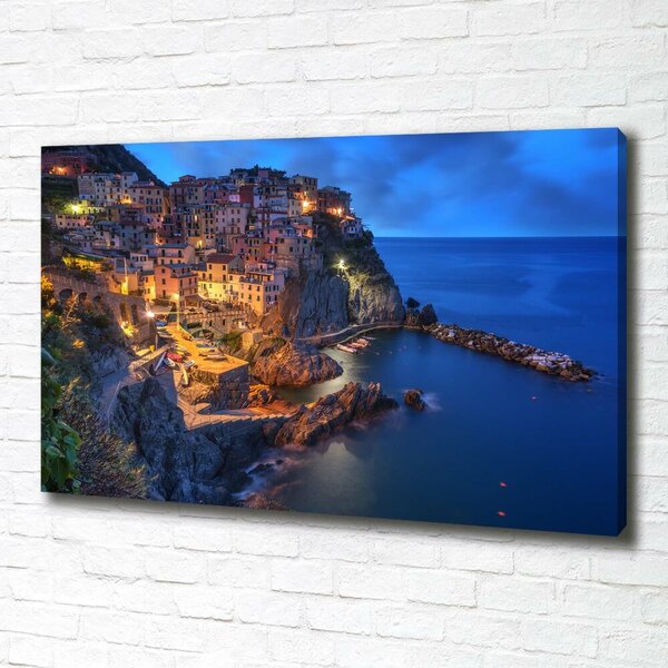 Print pe pânză Manarola Italia