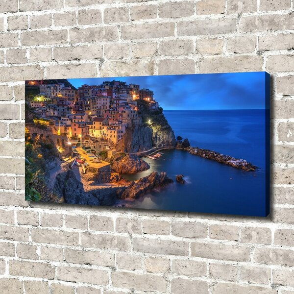 Print pe pânză Manarola Italia