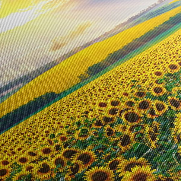 Tablou - Câmp cu floarea soarelui (120x50 cm)