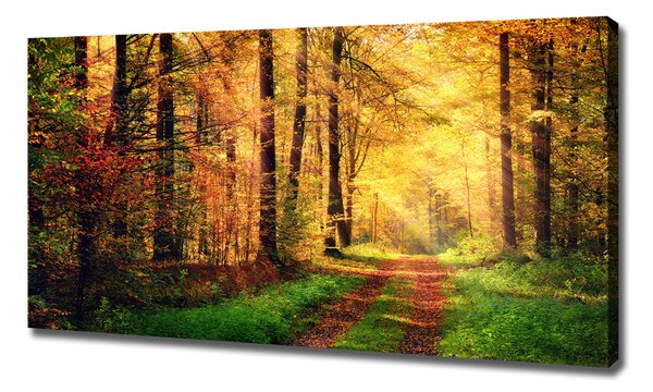 Pictură pe pânză pădure în toamna