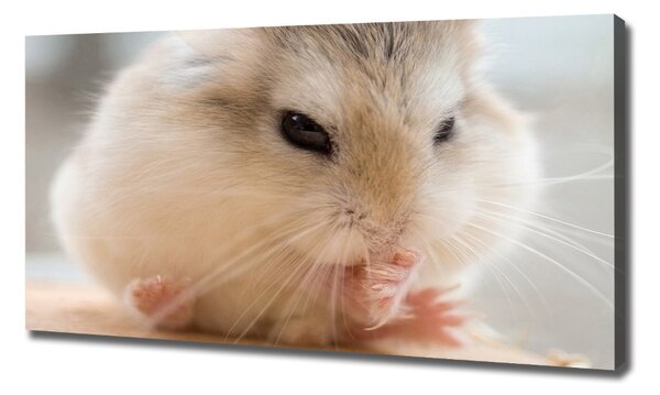 Pictură pe pânză Hamster