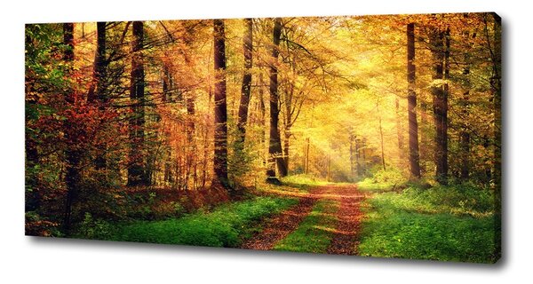 Pictură pe pânză pădure în toamna