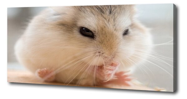 Pictură pe pânză Hamster