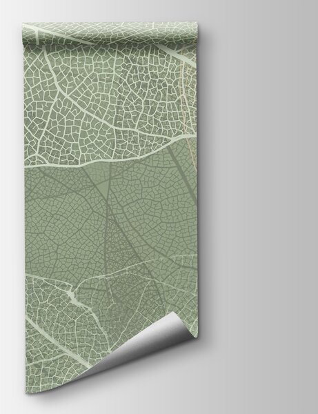 Fototapet Modele delicate de design al naturii’s, Fototapet natură, Fototapet populare, w02520 - Tapeko.ro