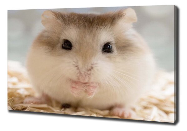 Print pe pânză Hamster