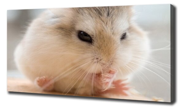 Pictură pe pânză Hamster