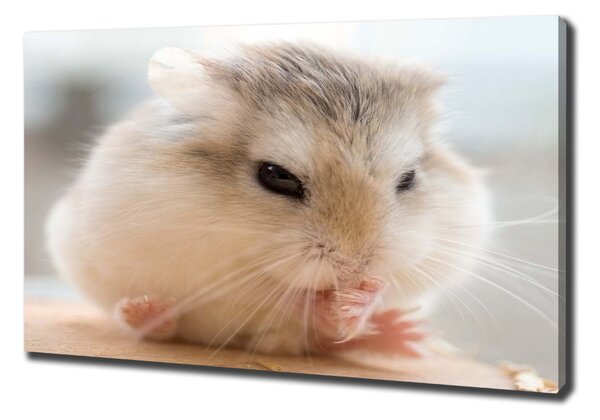 Pictură pe pânză Hamster
