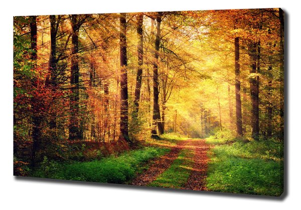 Pictură pe pânză pădure în toamna