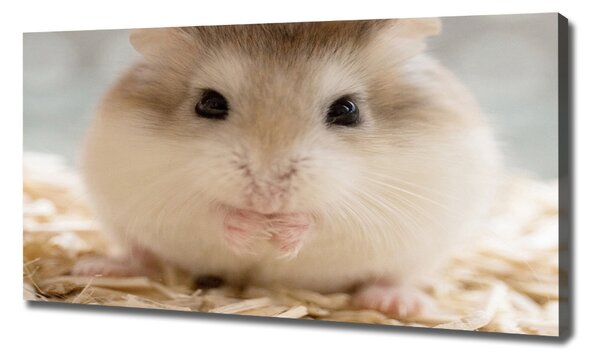 Print pe pânză Hamster