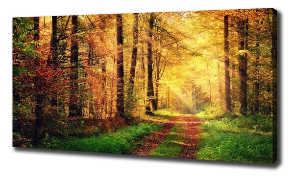 Pictură pe pânză pădure în toamna