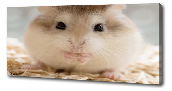 Print pe pânză Hamster
