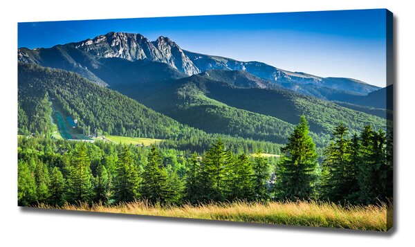 Tablou canvas Dealul din Tatra