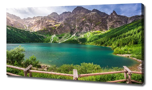 Print pe pânză Marine ochi Tatry