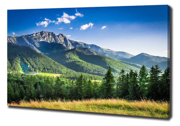 Print pe canvas Dealul din Tatra