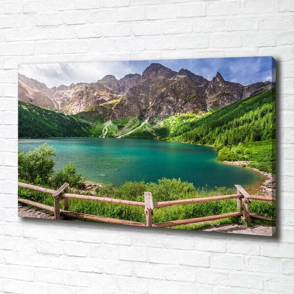 Print pe pânză Marine ochi Tatry