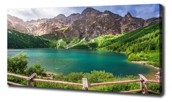Print pe pânză Marine ochi Tatry