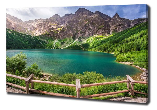 Print pe pânză Marine ochi Tatry