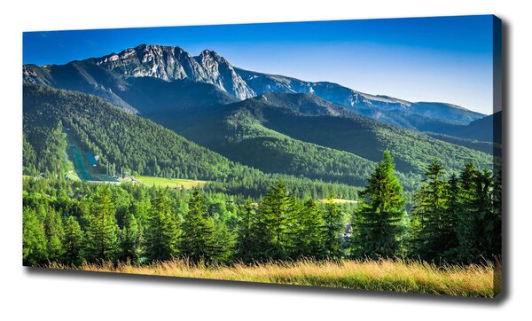 Tablou canvas Dealul din Tatra