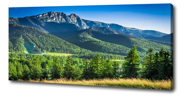 Tablou canvas Dealul din Tatra