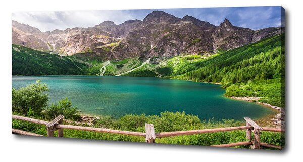 Print pe pânză Marine ochi Tatry