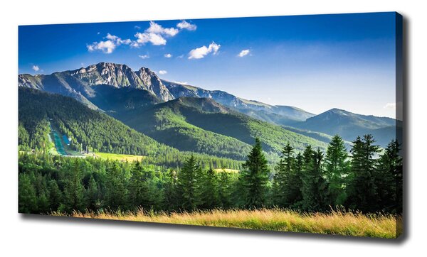 Print pe canvas Dealul din Tatra