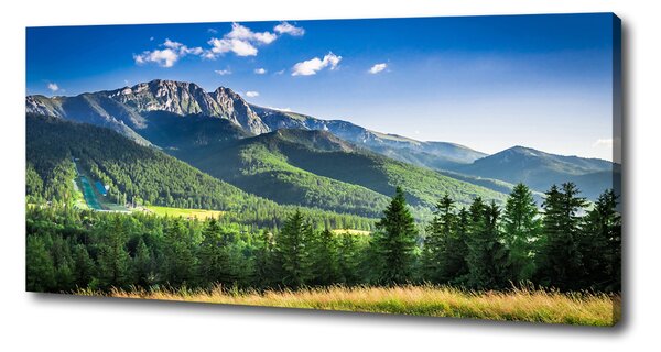 Print pe canvas Dealul din Tatra