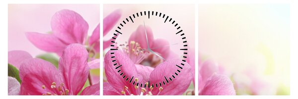 Tablou - Flori roz (cu ceas) (90x30 cm)